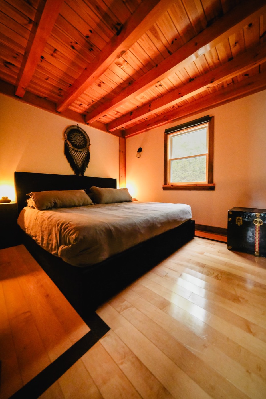 The Frontenac evening glow through the trees